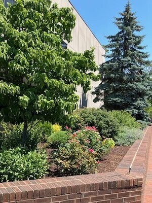 Town Hall garden